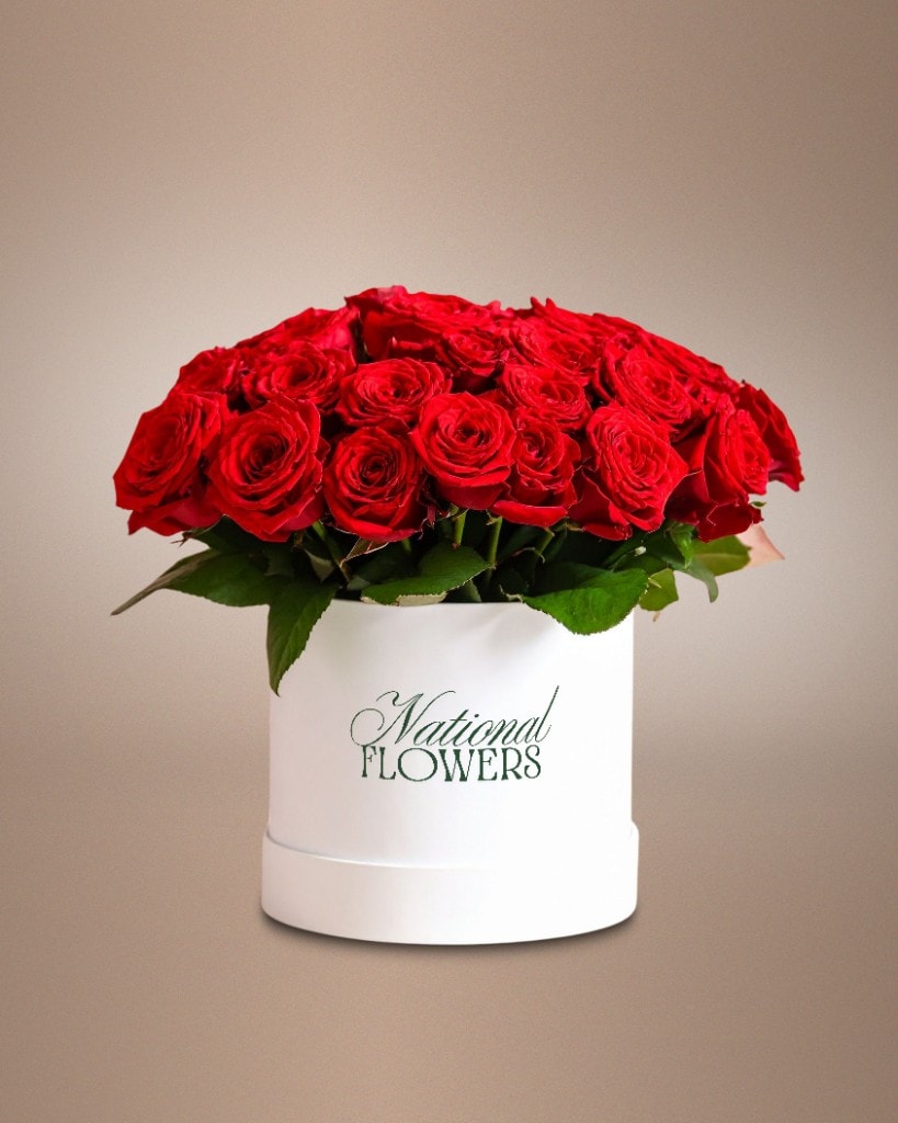 Snow Orchid Deluxe - National Flowers