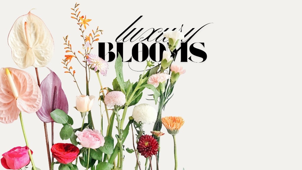 Luxury Blooms — Premium floral arrangement by National Flowers